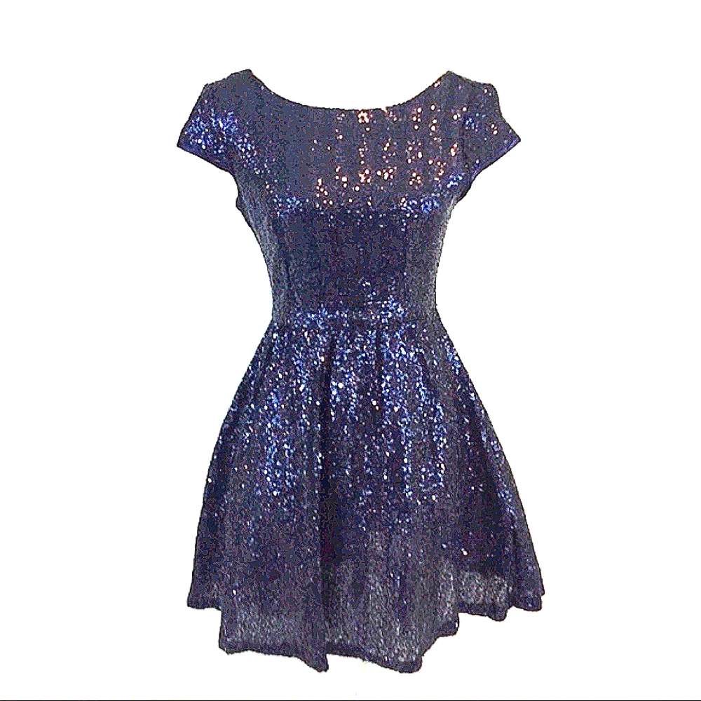 Fit and Flare Sequined Dress